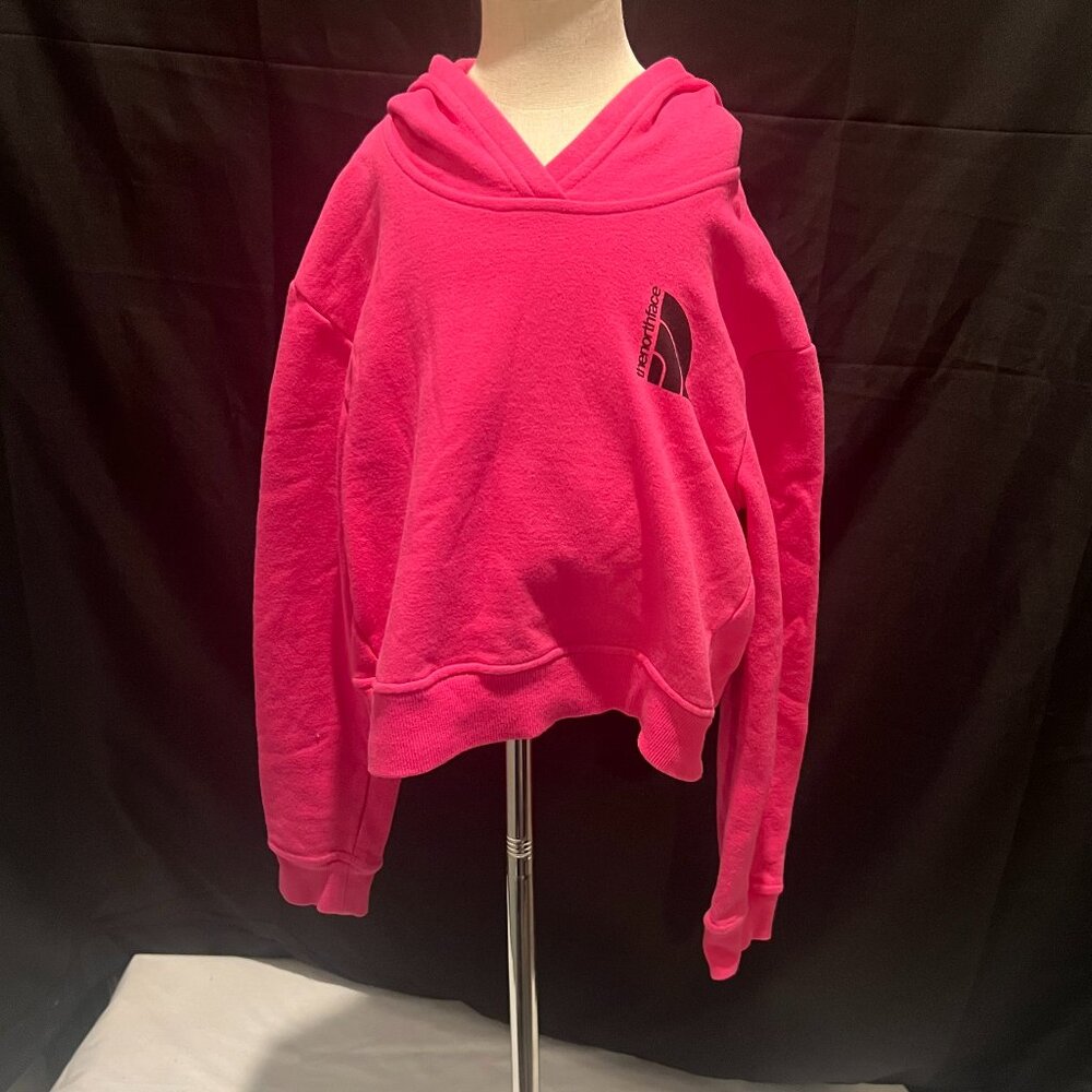 Northface Sweatshirt - GENTLY USED - FREE SHIPPING!